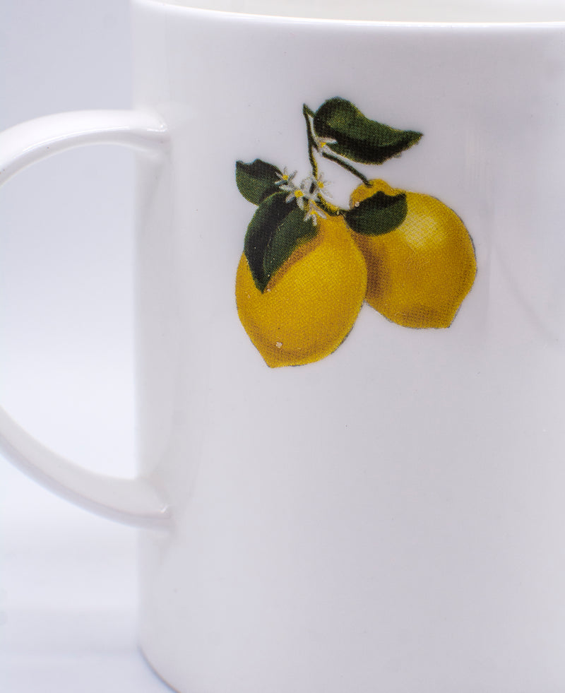 MUG (SET OF 2) - Lemon-Casacarta-CASACARTA